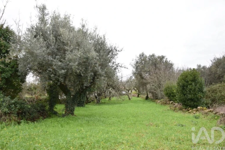 Moradia T1 para Venda em Nossa Senhora do Pranto Foto 17