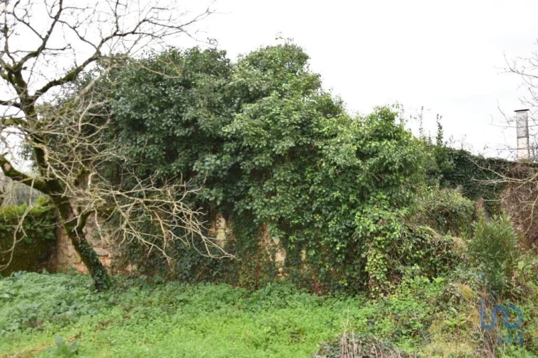 Moradia T1 para Venda em Nossa Senhora do Pranto Foto 14