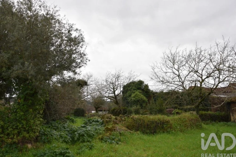 Moradia T1 para Venda em Nossa Senhora do Pranto Foto 22