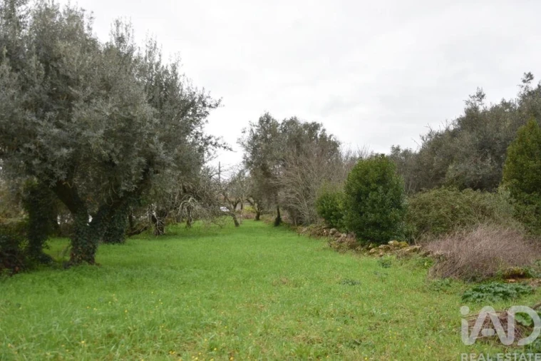 Moradia T1 para Venda em Nossa Senhora do Pranto Foto 18