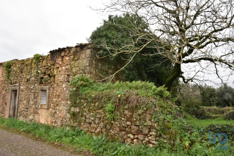 Moradia T1 para Venda em Nossa Senhora do Pranto Foto 5