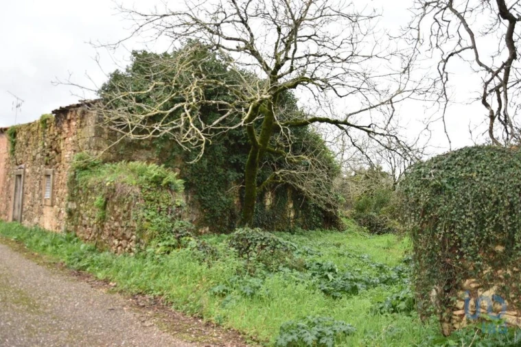 Moradia T1 para Venda em Nossa Senhora do Pranto Foto 9