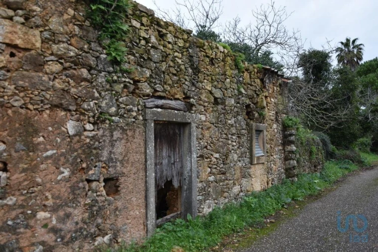 Moradia T1 para Venda em Nossa Senhora do Pranto Foto 6