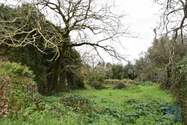 Moradia T1 para Venda em Nossa Senhora do Pranto Foto 3