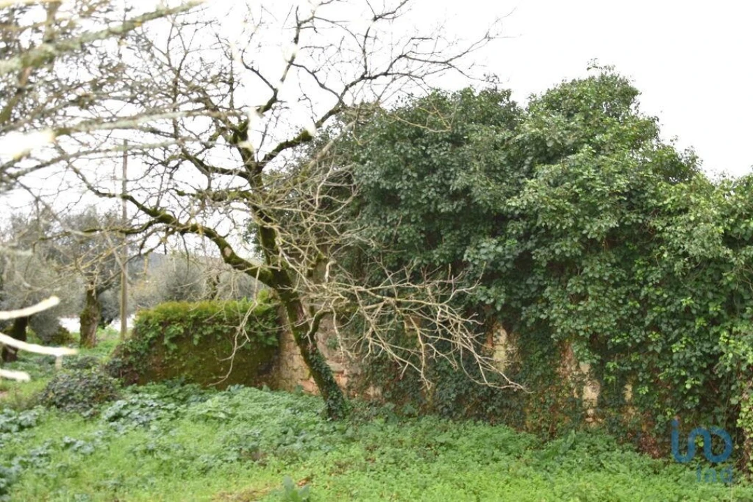 Moradia T1 para Venda em Nossa Senhora do Pranto Foto 12