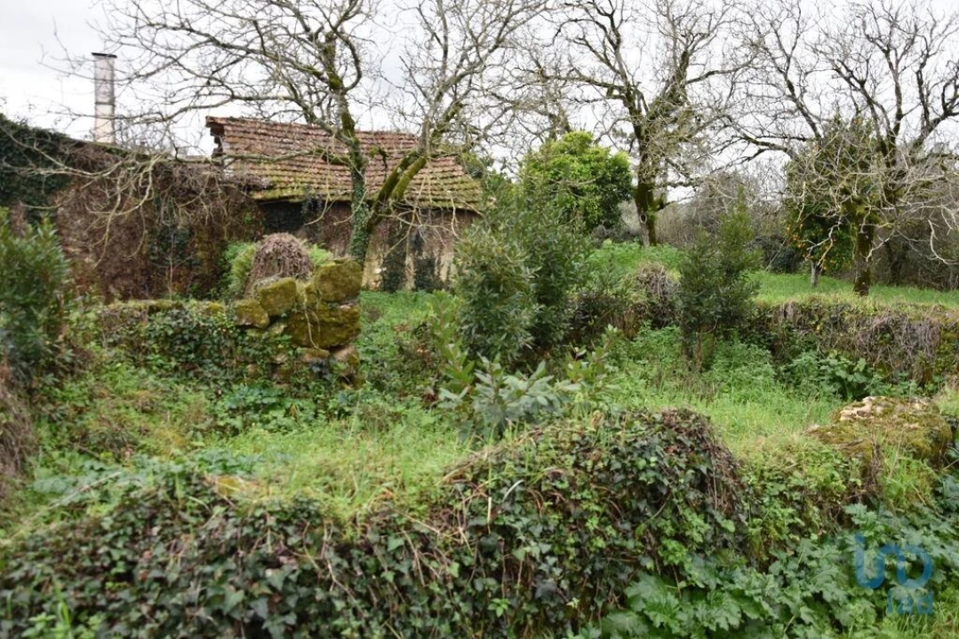 Moradia T1 para Venda em Nossa Senhora do Pranto Foto 13