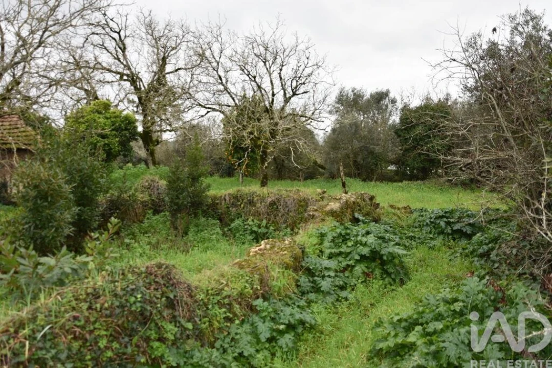 Moradia T1 para Venda em Nossa Senhora do Pranto Foto 15