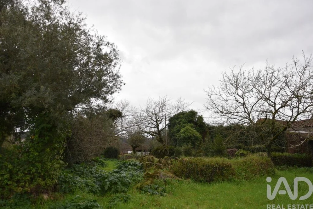 Moradia T1 para Venda em Nossa Senhora do Pranto Foto 21