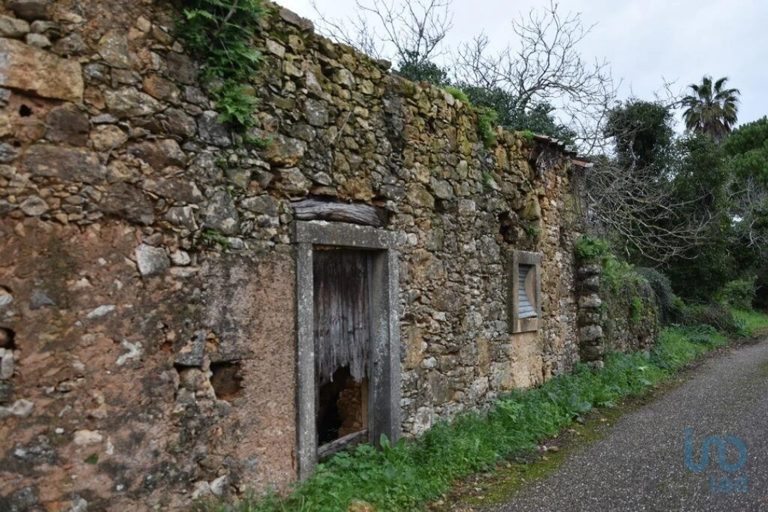 Moradia T1 para Venda em Nossa Senhora do Pranto Foto 6