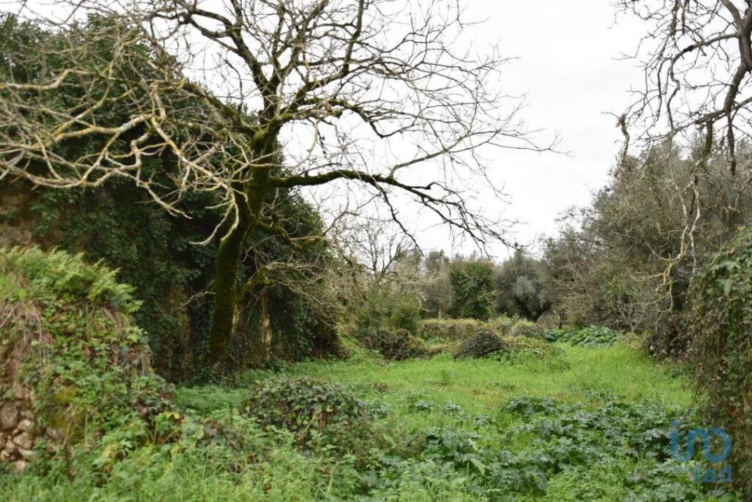 Moradia T1 para Venda em Nossa Senhora do Pranto Foto 3