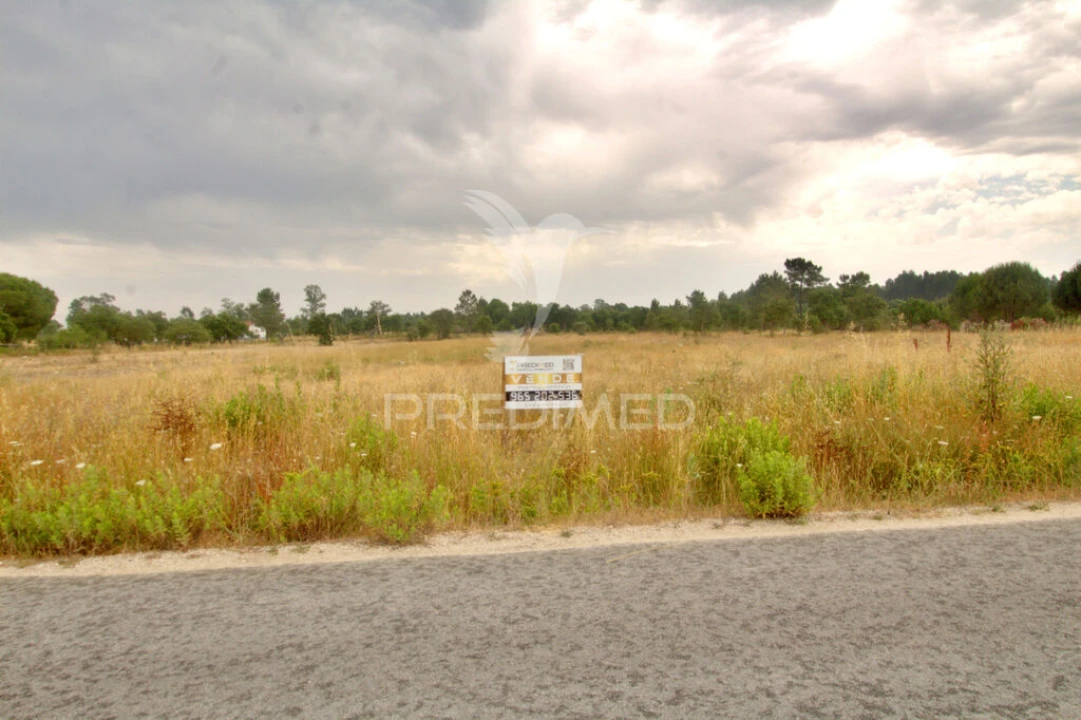 Terreno para Venda em Glória do Ribatejo e Granho Foto 2