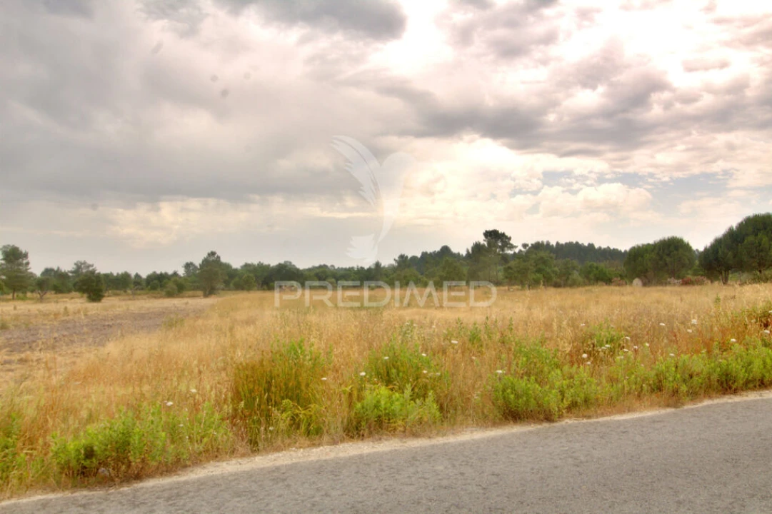 Terreno para Venda em Glória do Ribatejo e Granho Foto 4