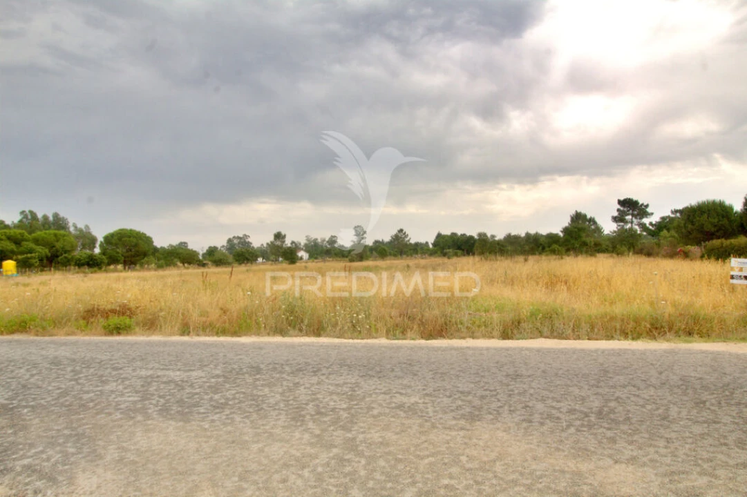 Terreno para Venda em Glória do Ribatejo e Granho Foto 1