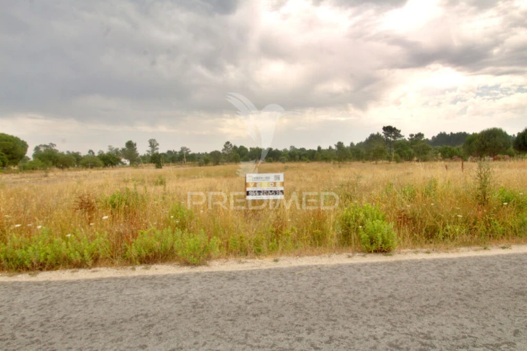 Terreno para Venda em Glória do Ribatejo e Granho Foto 2