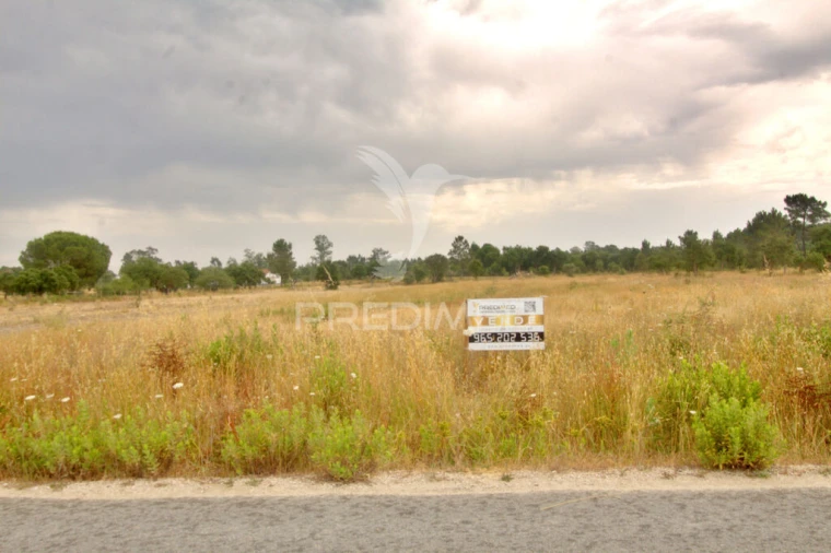 Terreno para Venda em Glória do Ribatejo e Granho Foto 5
