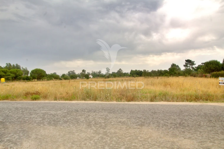 Terreno para Venda em Glória do Ribatejo e Granho Foto 1