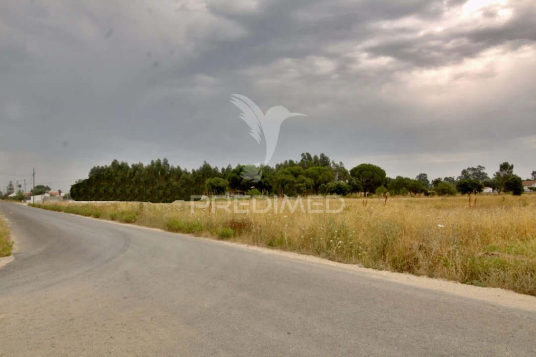 Terreno para Venda em Glória do Ribatejo e Granho Foto 7