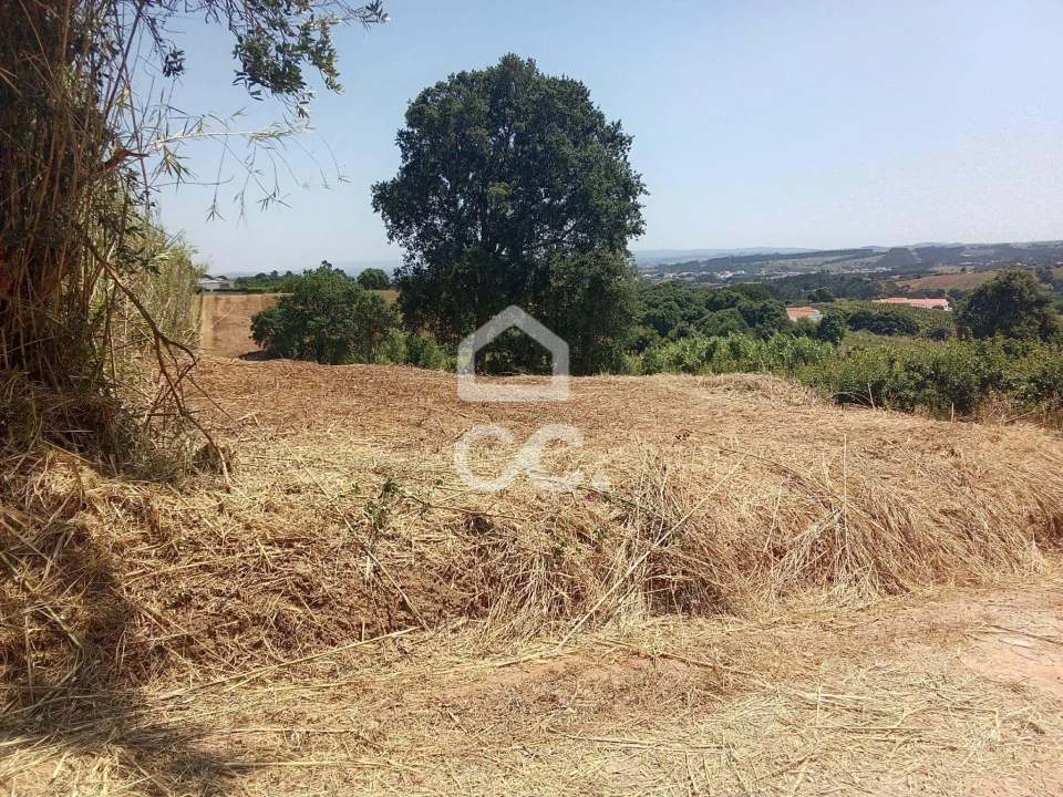 Terreno para Venda em Usseira Foto 11