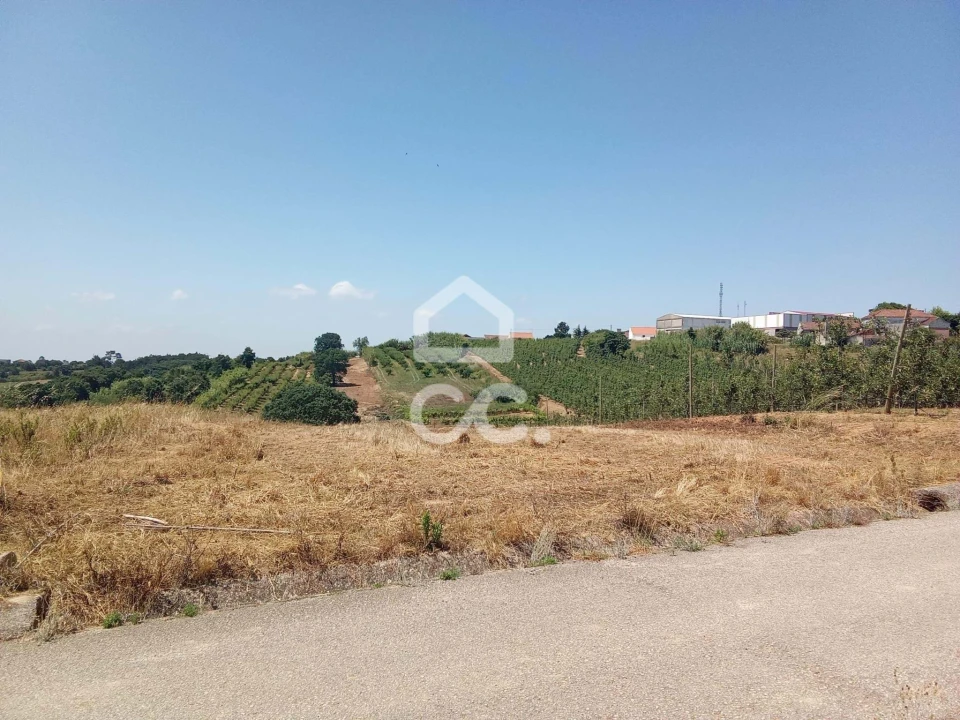 Terreno para Venda em Usseira Foto 2