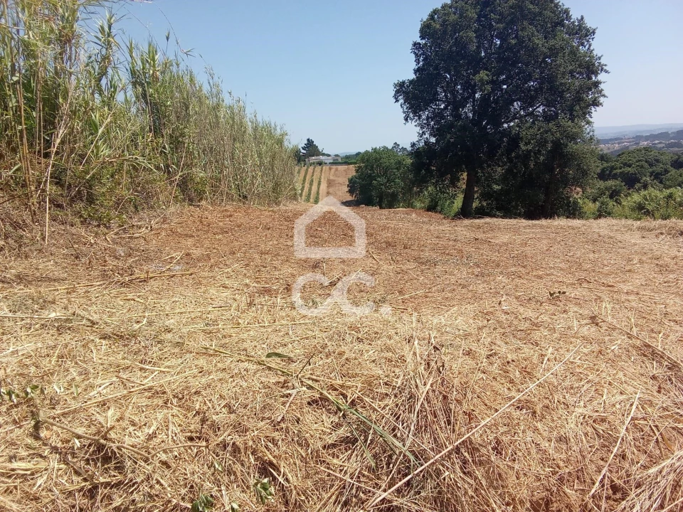 Terreno para Venda em Usseira Foto 7