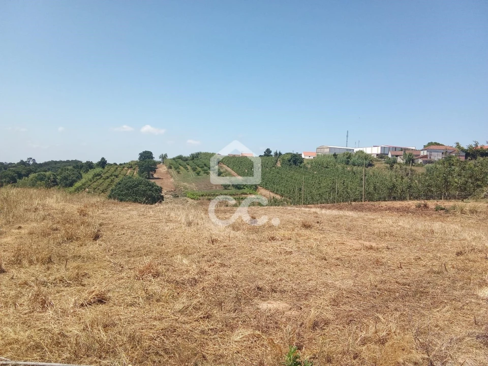 Terreno para Venda em Usseira Foto 3