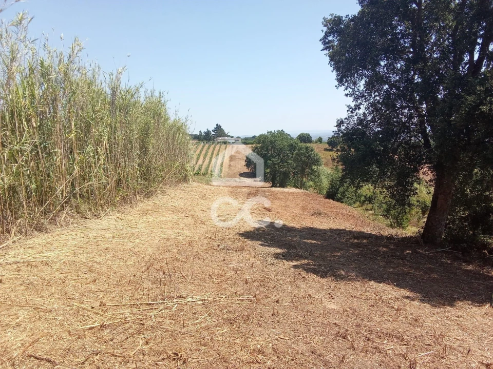 Terreno para Venda em Usseira Foto 8