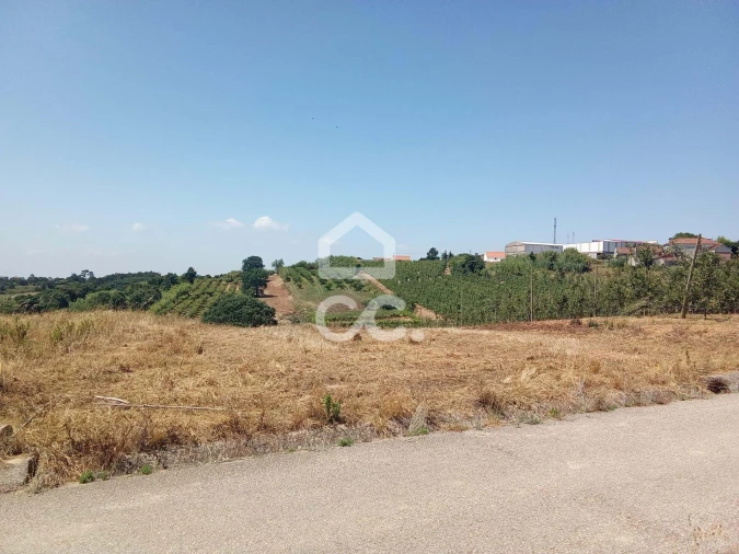 Terreno para Venda em Usseira Foto 2