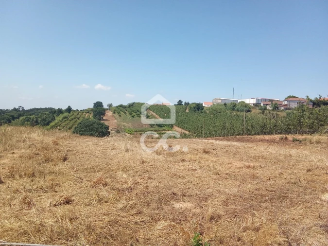 Terreno para Venda em Usseira Foto 3