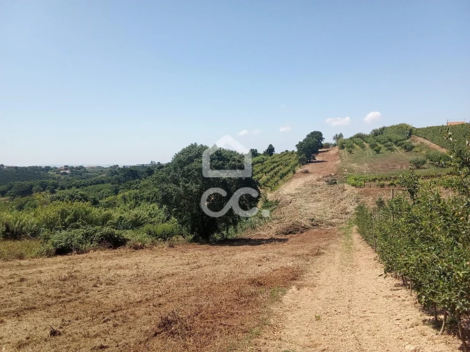 Terreno para Venda em Usseira Foto 5