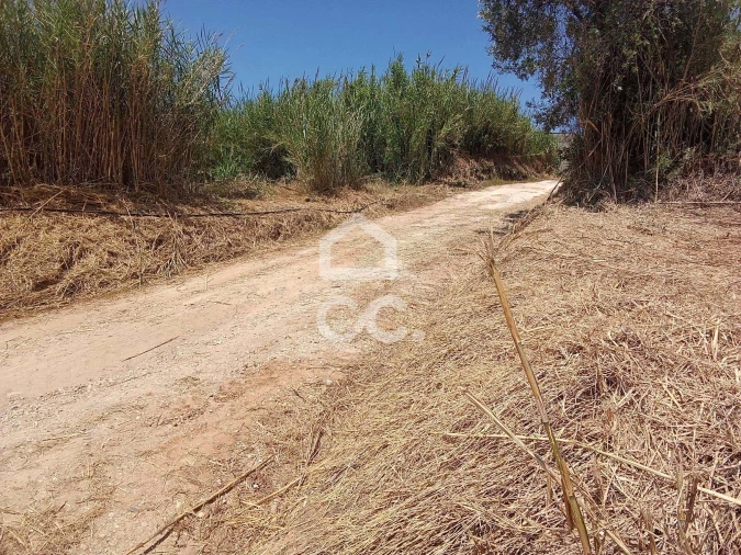 Terreno para Venda em Usseira Foto 9