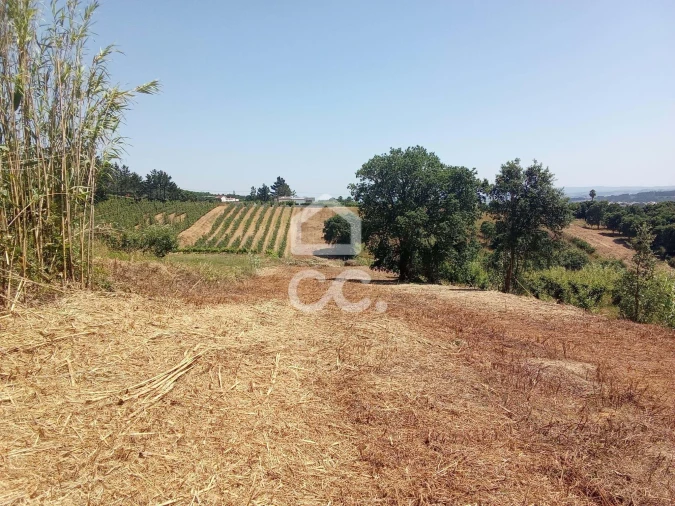 Terreno para Venda em Usseira Foto 12