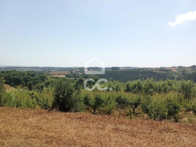 Terreno para Venda em Usseira Foto 6