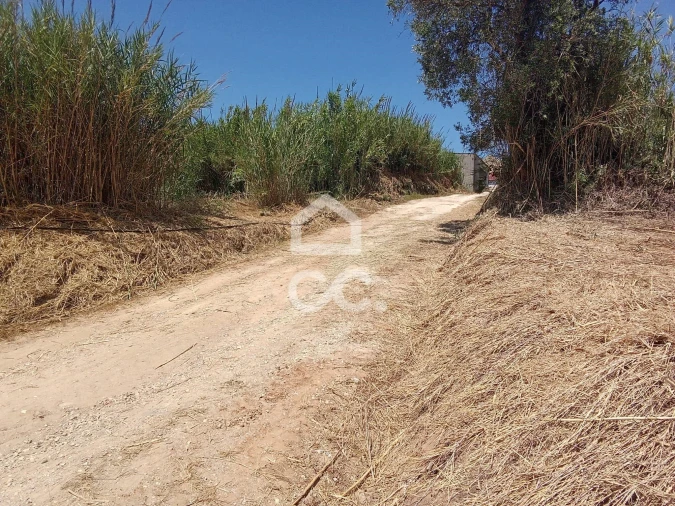 Terreno para Venda em Usseira Foto 10