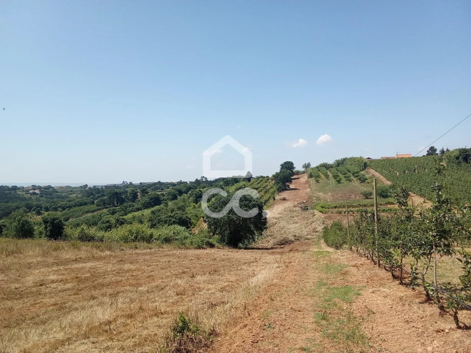 Terreno para Venda em Usseira Foto 4