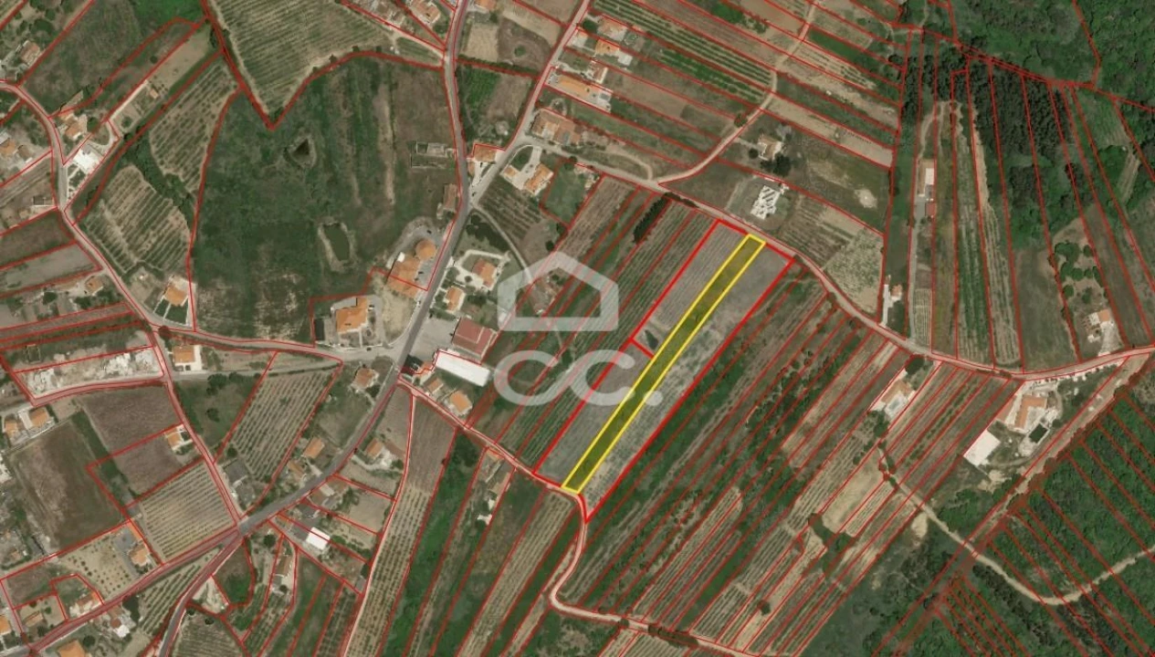 Terreno para Venda em Usseira Foto 13