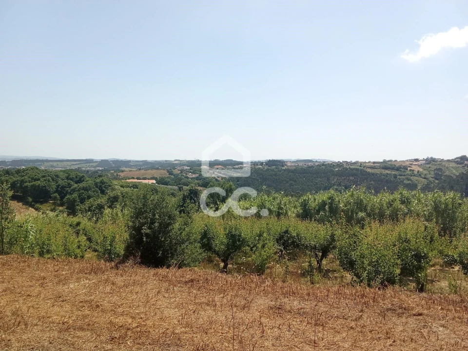 Terreno para Venda em Usseira Foto 6