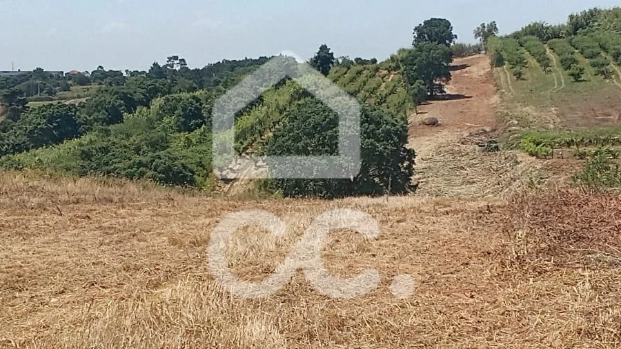 Terreno para Venda em Usseira