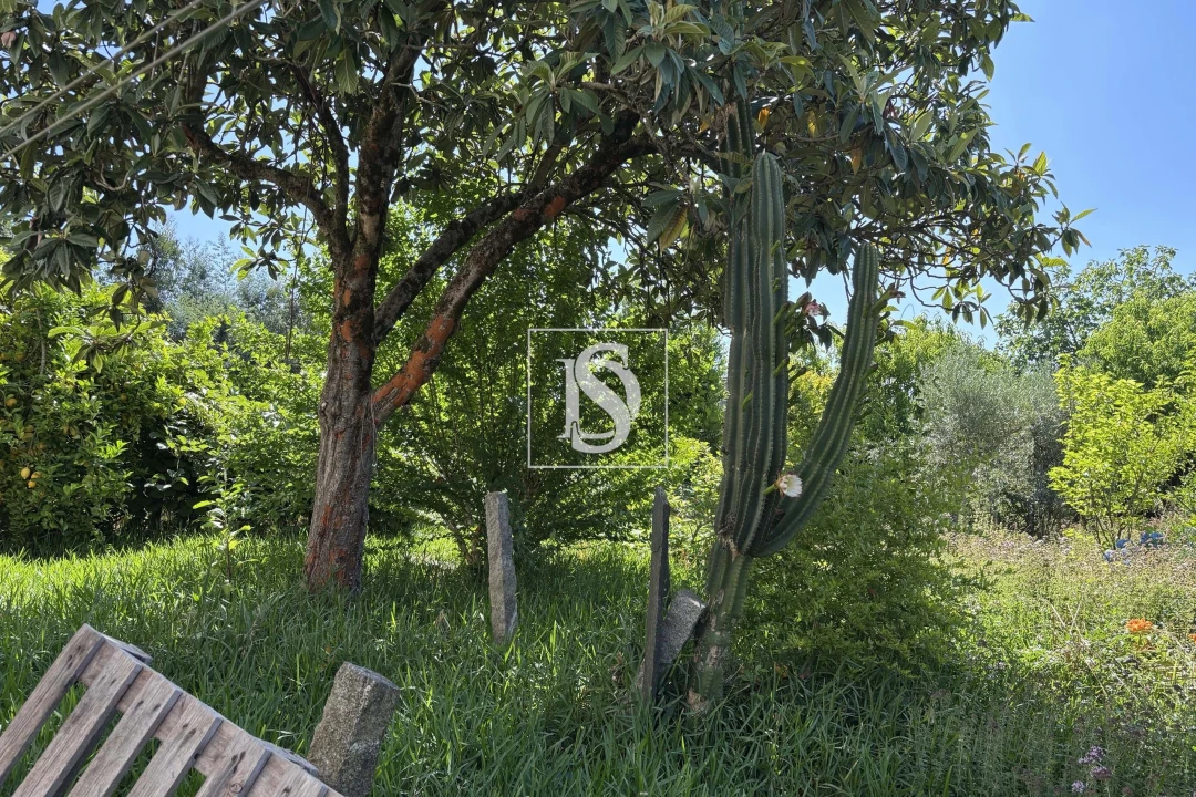 Moradia T4 para Venda em Molelos Foto 34