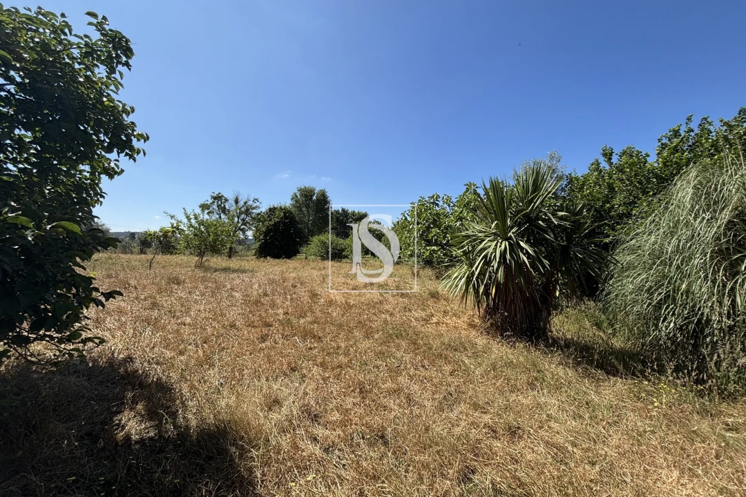 Moradia T4 para Venda em Molelos Foto 35