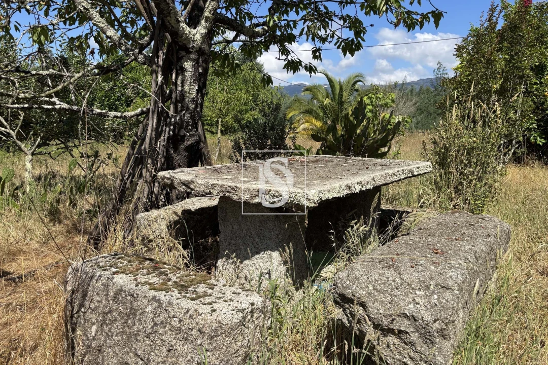 Moradia T4 para Venda em Molelos Foto 36