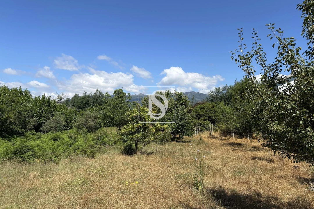 Moradia T4 para Venda em Molelos Foto 37