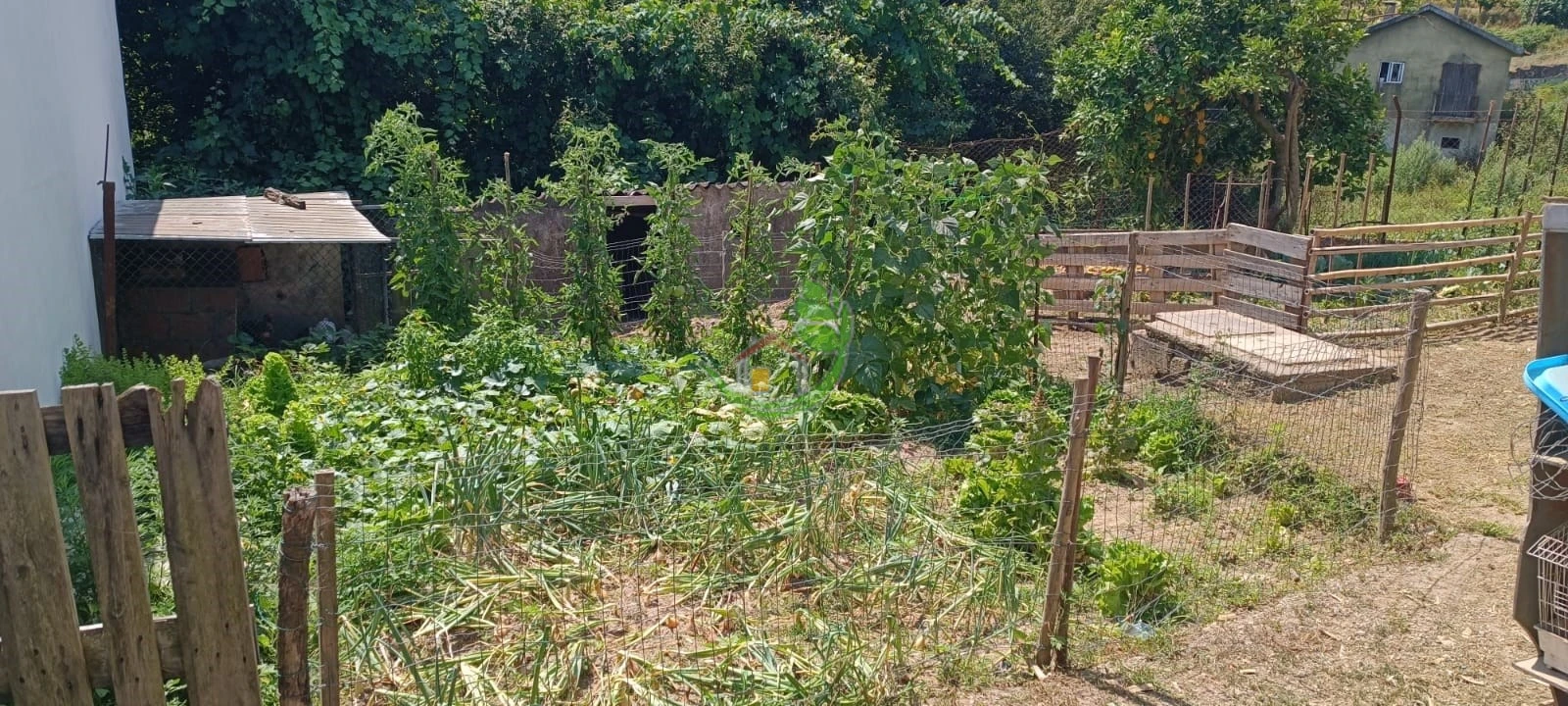 Moradia T3 para Venda em Loureira Foto 11