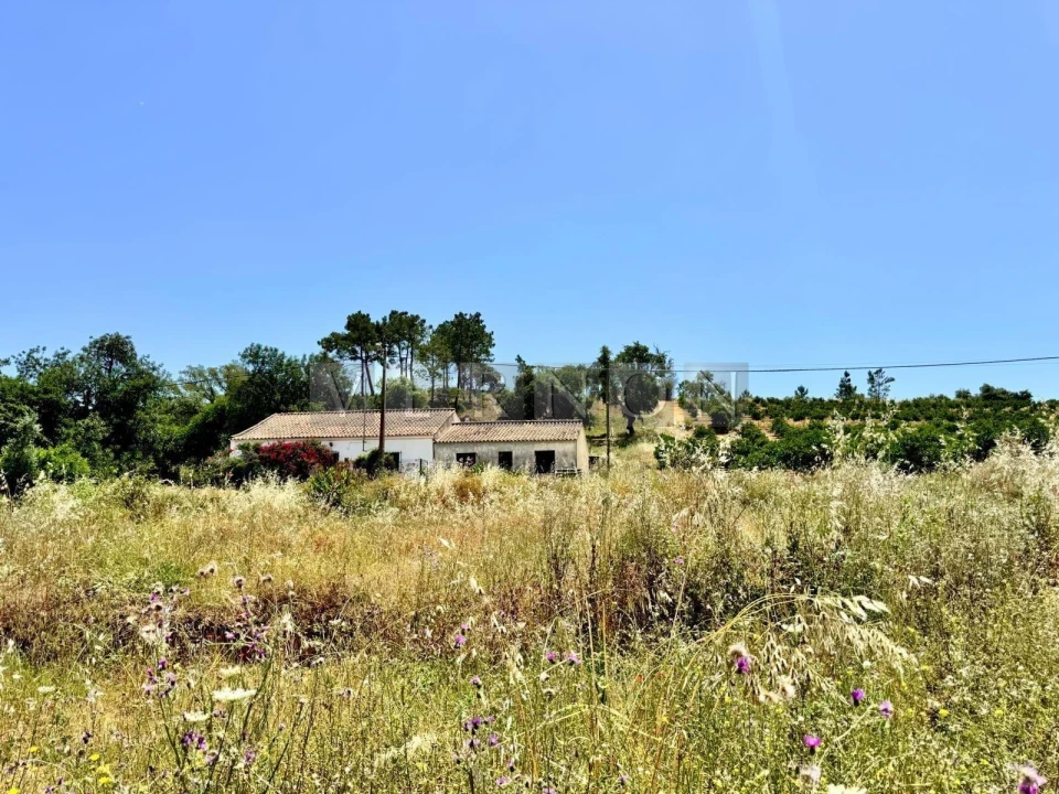 Terreno para Venda em Porches Foto 2