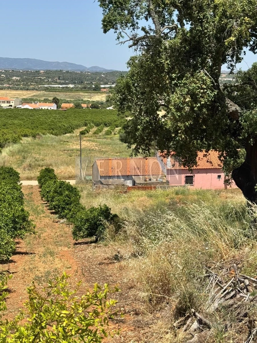Terreno para Venda em Porches Foto 15