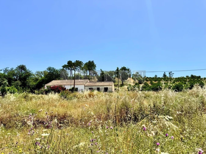 Terreno para Venda em Porches Foto 2