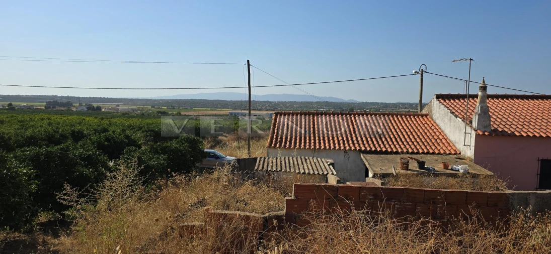 Terreno para Venda em Porches Foto 10