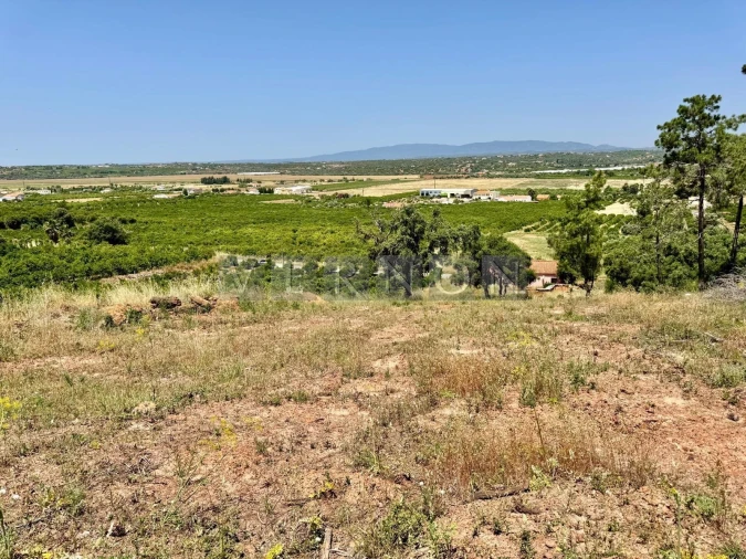 Terreno para Venda em Porches Foto 5