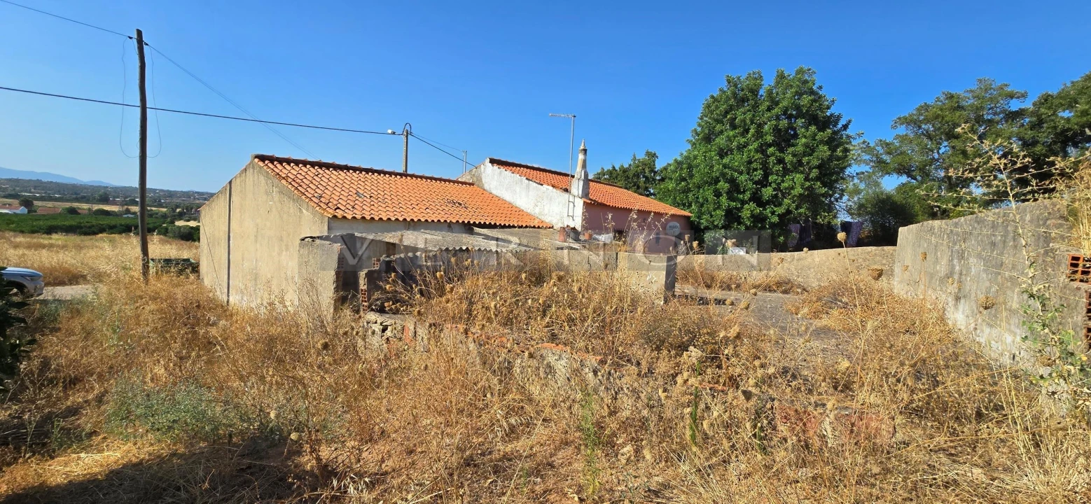 Terreno para Venda em Porches Foto 4