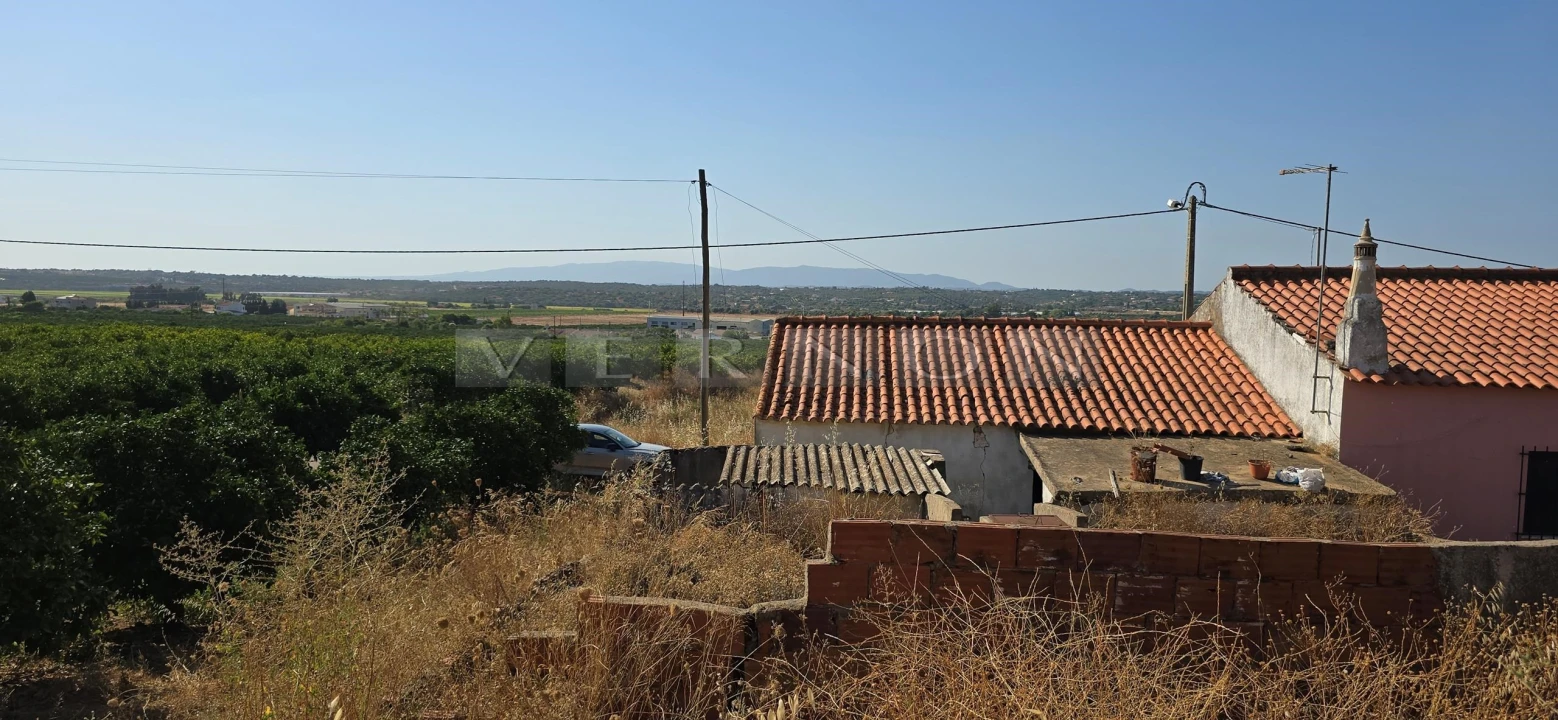 Terreno para Venda em Porches Foto 10