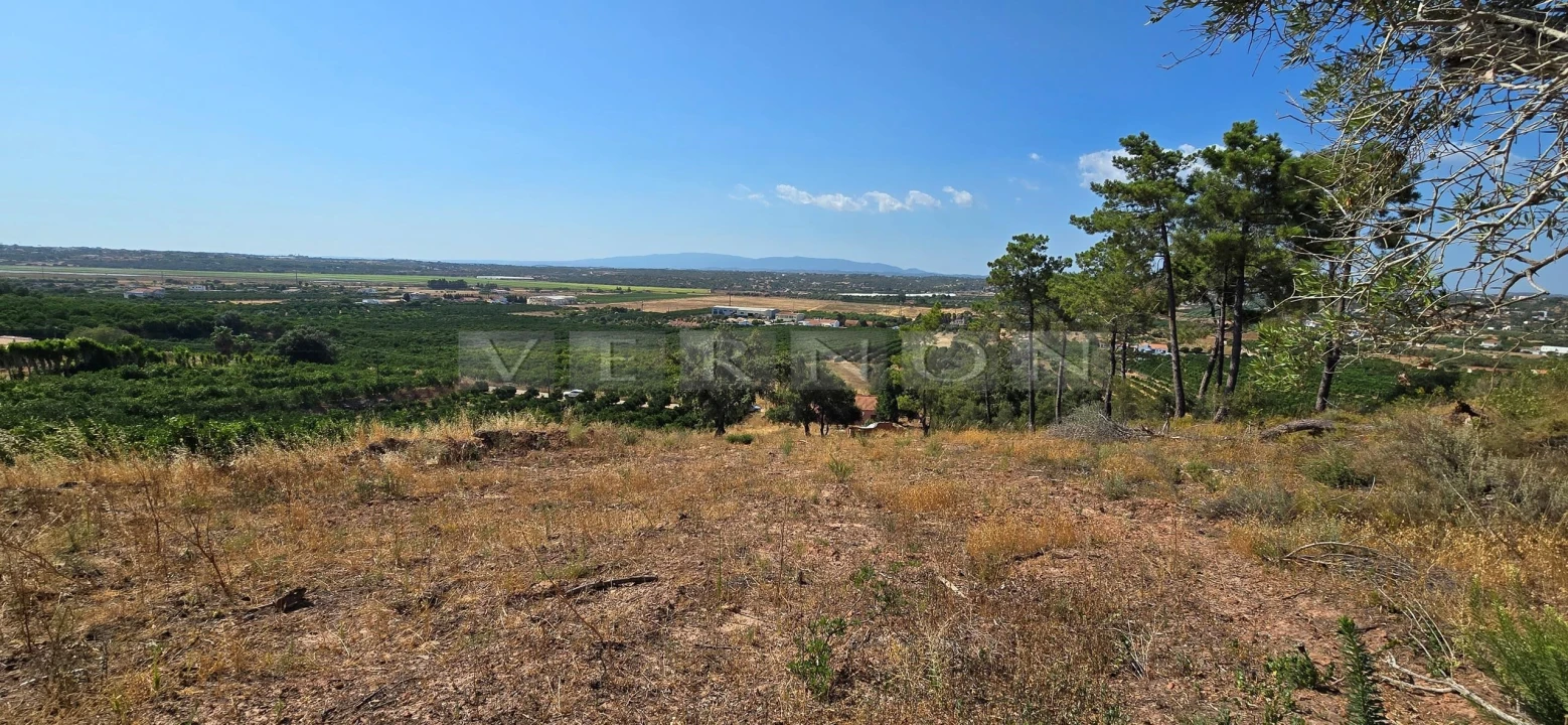 Terreno para Venda em Porches Foto 13
